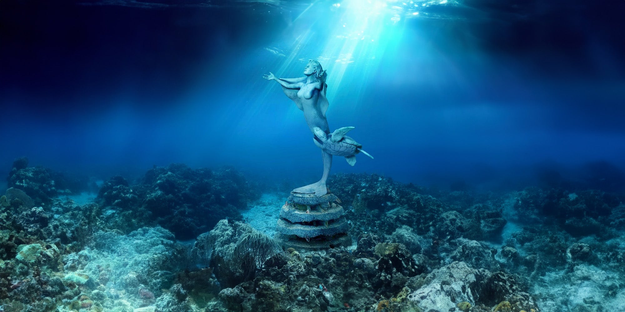 Angel of the Reef